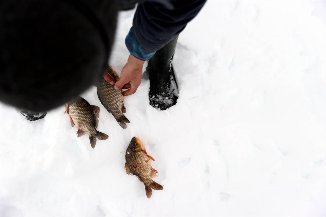 Beyşehir Gölü'nde tatlı su balıkçıları dondurucu soğukta buzları kırarak avlanıyor 6