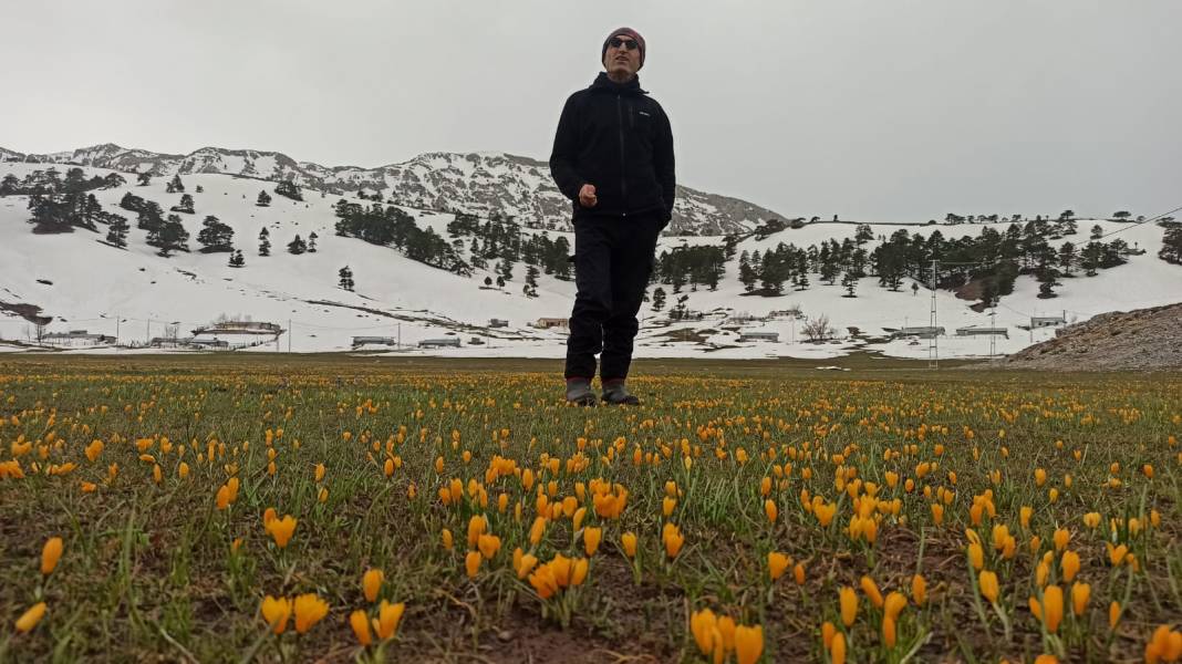 Konya’da bahar güzelliği! Karla kaplı Toroslar, çiğdemlerle görsel şölen sunuyor 14