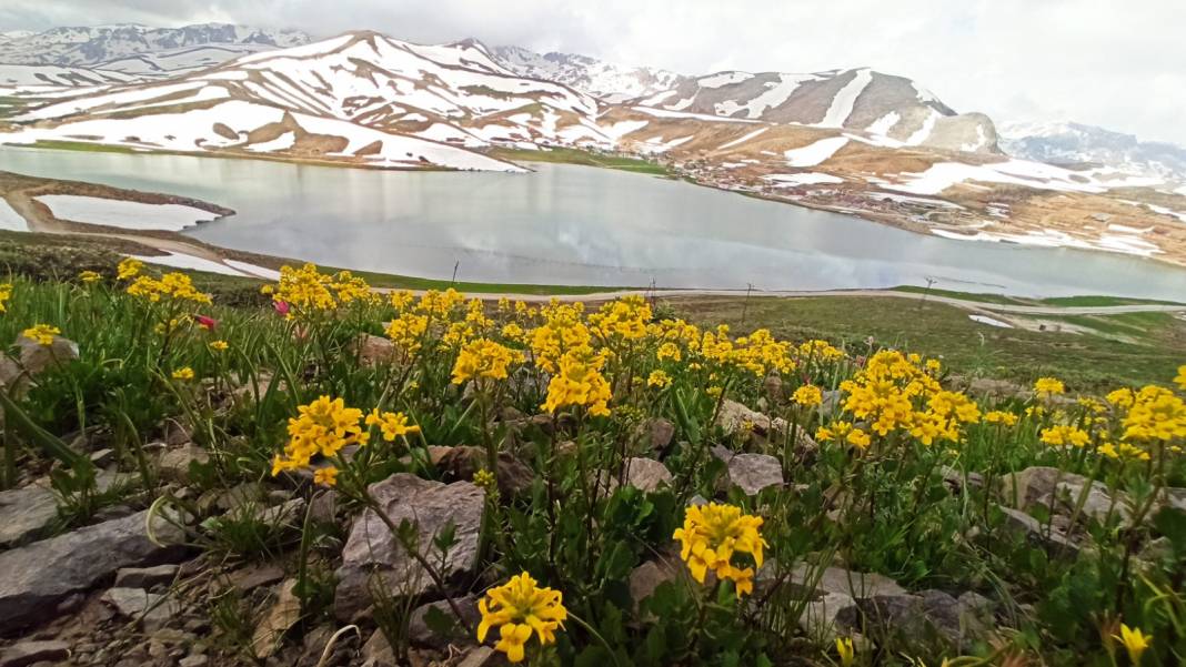Konyalı doğaseverler dağ laleleri ve Eğrigölü görmek için 25 kilometre yürüdü 10