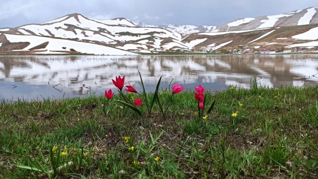 Konyalı doğaseverler dağ laleleri ve Eğrigölü görmek için 25 kilometre yürüdü 11