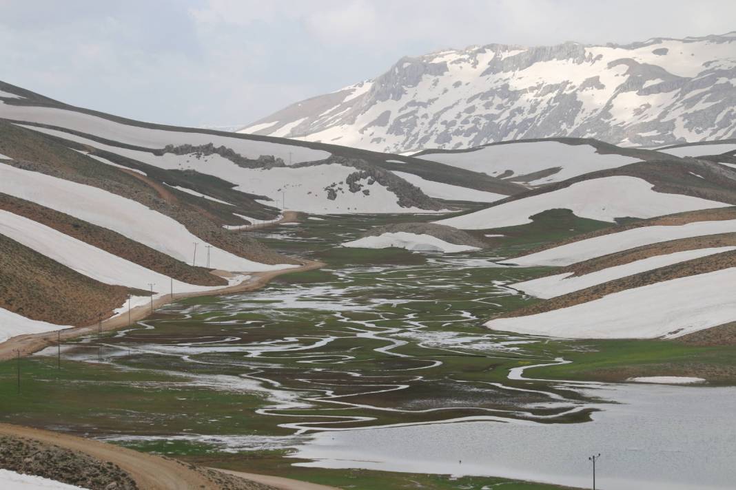 Konyalı doğaseverler dağ laleleri ve Eğrigölü görmek için 25 kilometre yürüdü 19