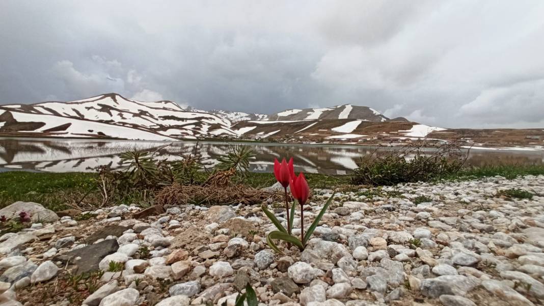 Konyalı doğaseverler dağ laleleri ve Eğrigölü görmek için 25 kilometre yürüdü 4