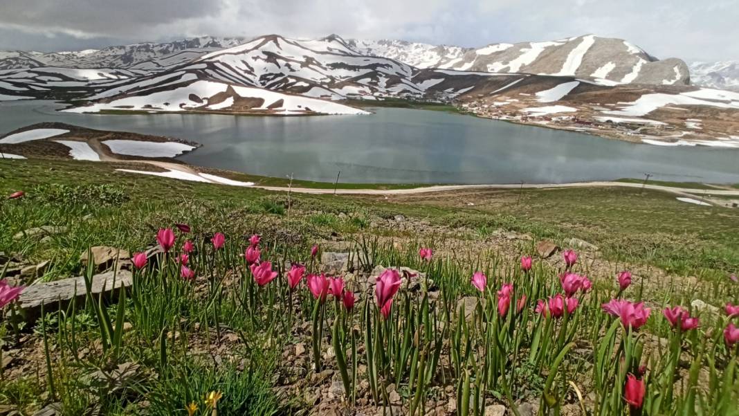Konyalı doğaseverler dağ laleleri ve Eğrigölü görmek için 25 kilometre yürüdü 7