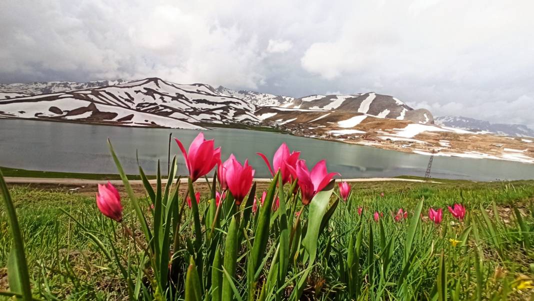 Konyalı doğaseverler dağ laleleri ve Eğrigölü görmek için 25 kilometre yürüdü 8
