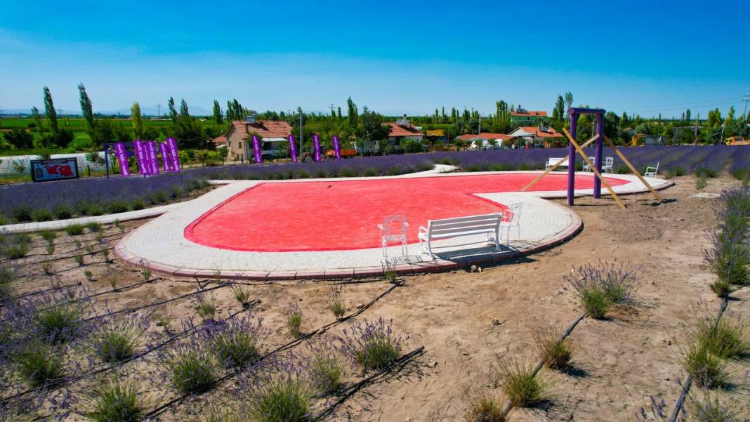 Konya’nın Misak-ı Milli haritalı lavanta bahçesi ziyarete açıldı 23