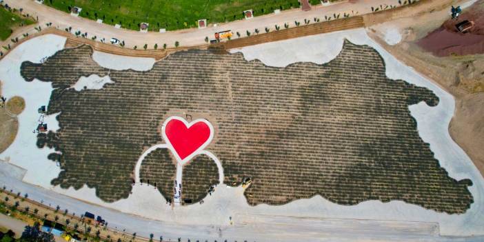 Konya’nın Misak-ı Milli haritalı lavanta bahçesi ziyarete açıldı