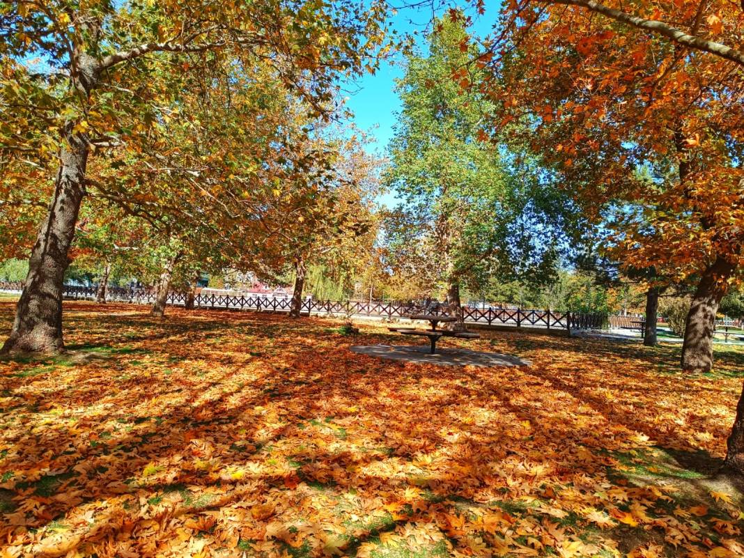 Konya’daki bu parkın sonbaharı bambaşka 8