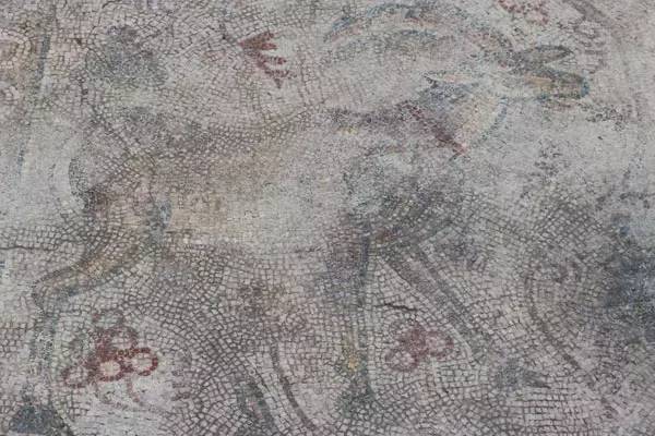 Konya’da yonca tarlasında bulunan 1400 yıllık mozaik ilgi bekliyor 23