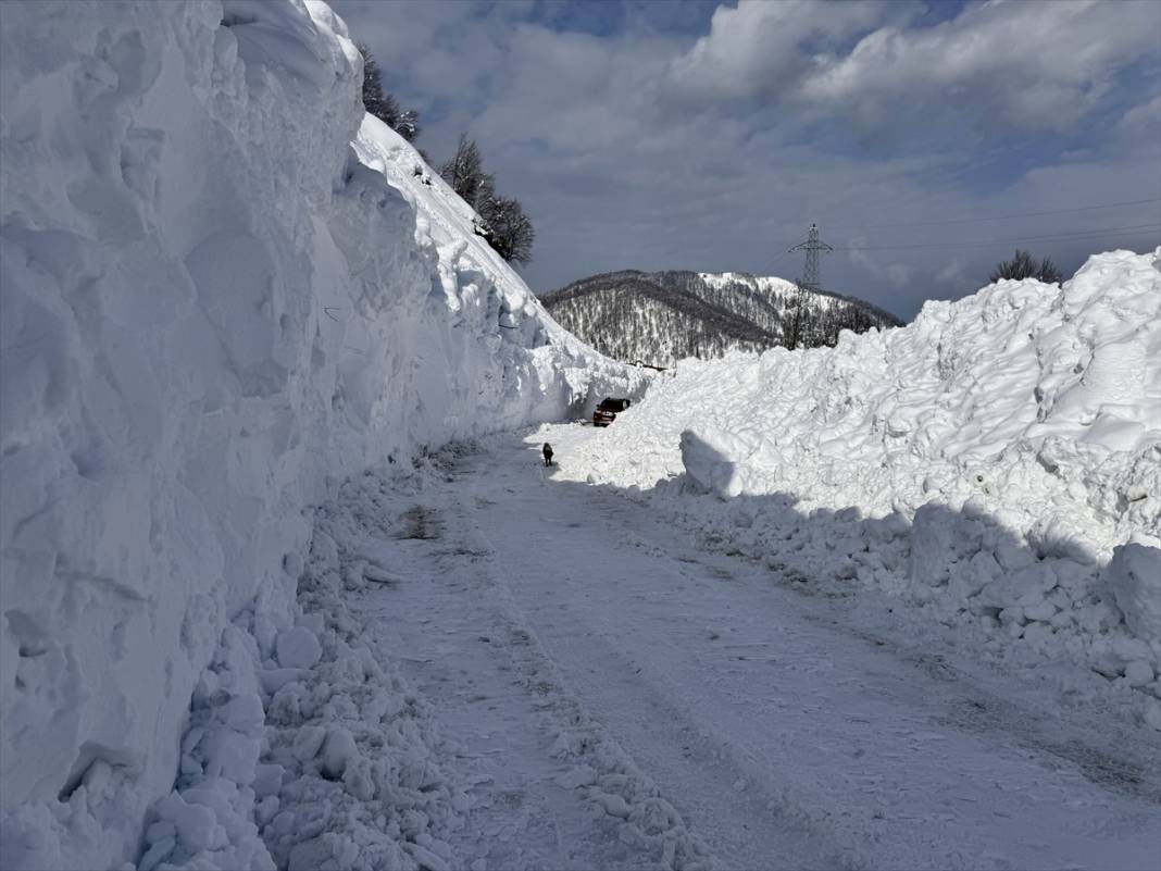 Bir haftadır yoğun kar yağan bölgede zorlu mücadele 7