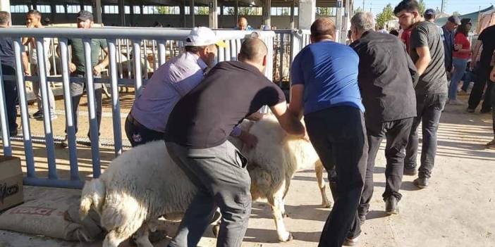 Konya'dan renkli kurban bayramı manzaraları