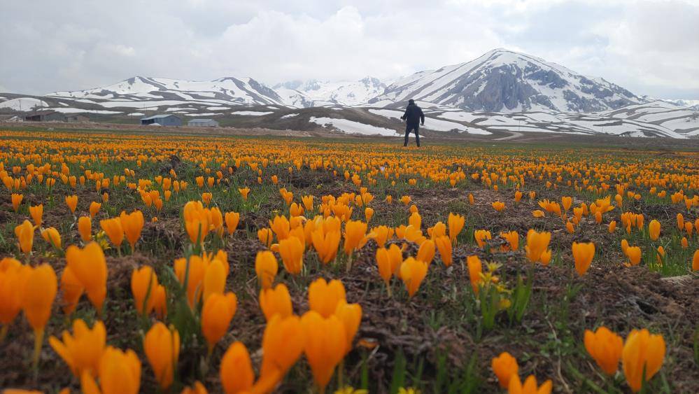 Konya sınırında görsel şölen! Zirvesinde kış, eteklerinde bahar yaşanıyor 19