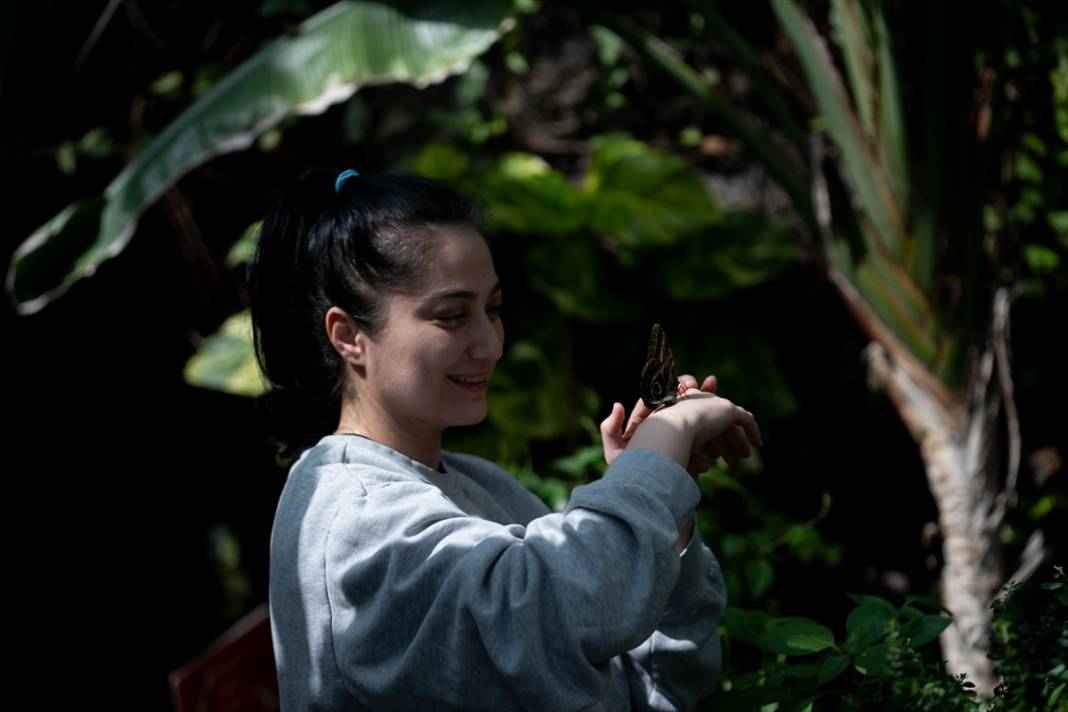Avrupa’nın en büyüğü! Konya Tropikal Kelebek Bahçesi’nde masalsı yolculuk 6