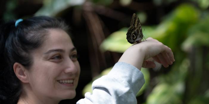 Avrupa’nın en büyüğü! Konya Tropikal Kelebek Bahçesi’nde masalsı yolculuk