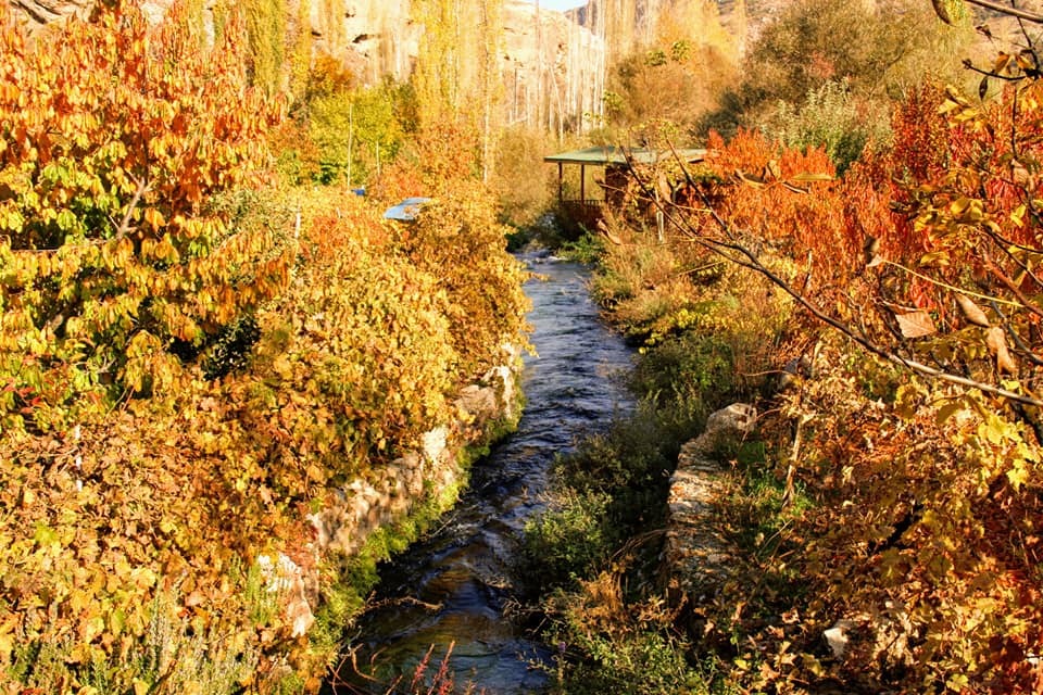 Konya'da sonbahar güzelliği! 14