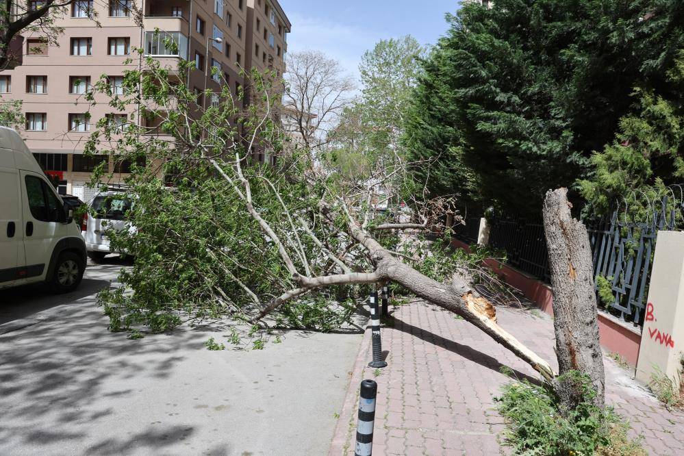 Konya’da hızı 90 kilometreyi bulan fırtına ağaçları yıktı, çatıları uçurdu 1