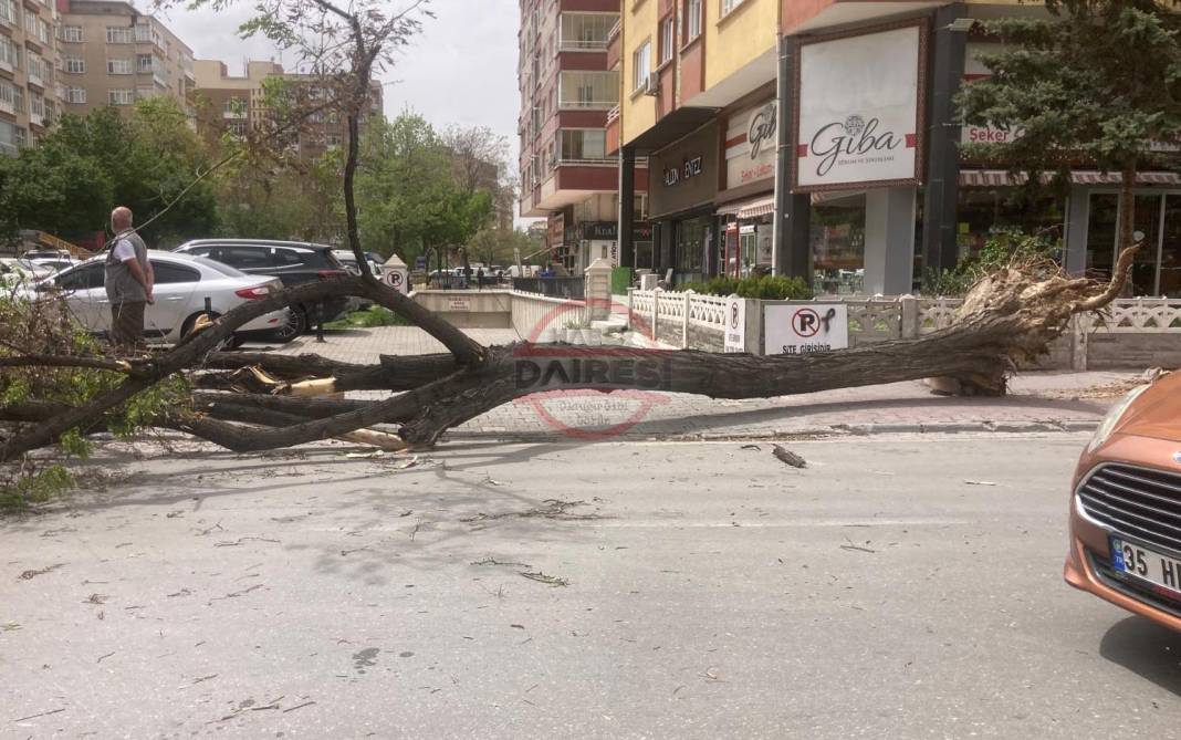 Konya’da hızı 90 kilometreyi bulan fırtına ağaçları yıktı, çatıları uçurdu 15