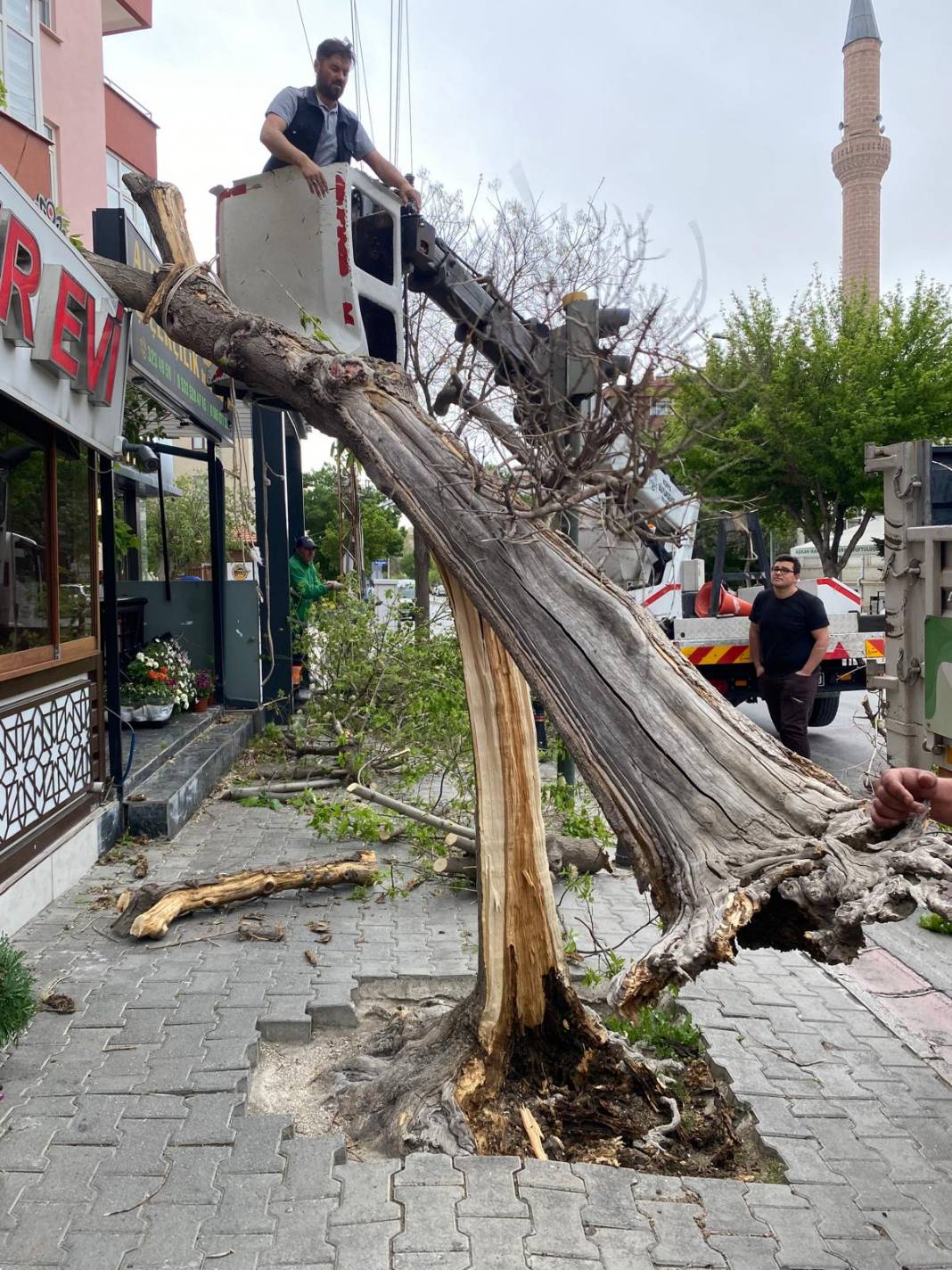 Konya’da hızı 90 kilometreyi bulan fırtına ağaçları yıktı, çatıları uçurdu 18