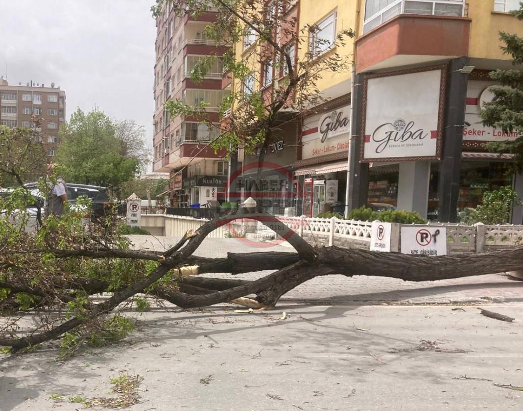 Konya’da hızı 90 kilometreyi bulan fırtına ağaçları yıktı, çatıları uçurdu 23
