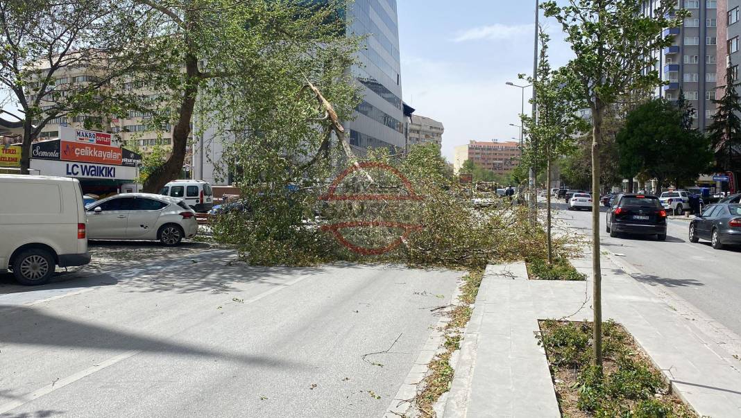 Konya’da hızı 90 kilometreyi bulan fırtına ağaçları yıktı, çatıları uçurdu 26