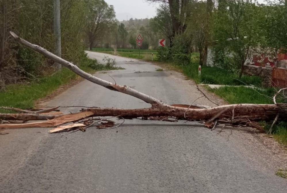 Konya’da hızı 90 kilometreyi bulan fırtına ağaçları yıktı, çatıları uçurdu 37