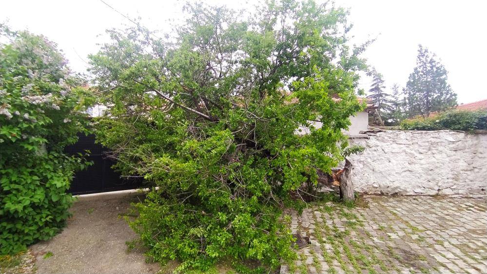 Konya’da hızı 90 kilometreyi bulan fırtına ağaçları yıktı, çatıları uçurdu 40