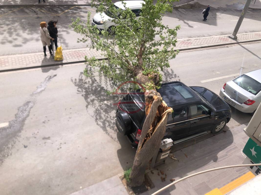 Konya’da hızı 90 kilometreyi bulan fırtına ağaçları yıktı, çatıları uçurdu 46