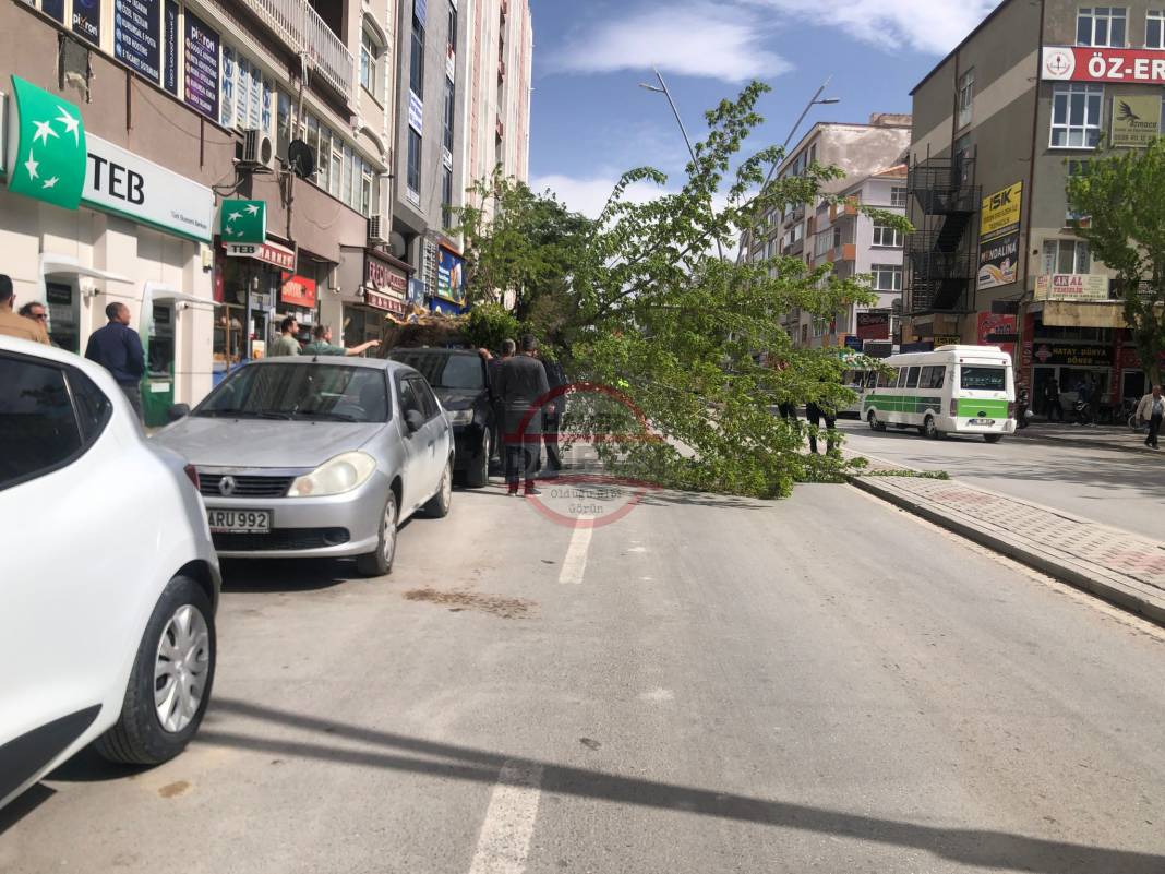 Konya’da hızı 90 kilometreyi bulan fırtına ağaçları yıktı, çatıları uçurdu 47