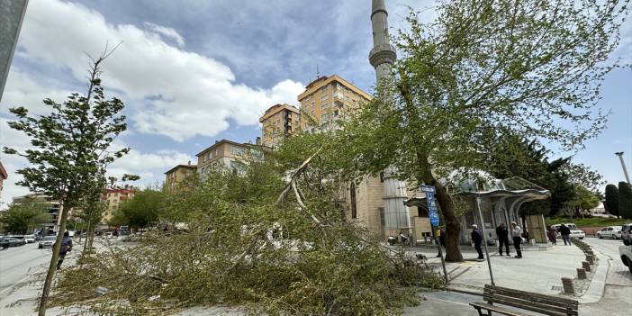 Konya’da hızı 90 kilometreyi bulan fırtına ağaçları yıktı, çatıları uçurdu
