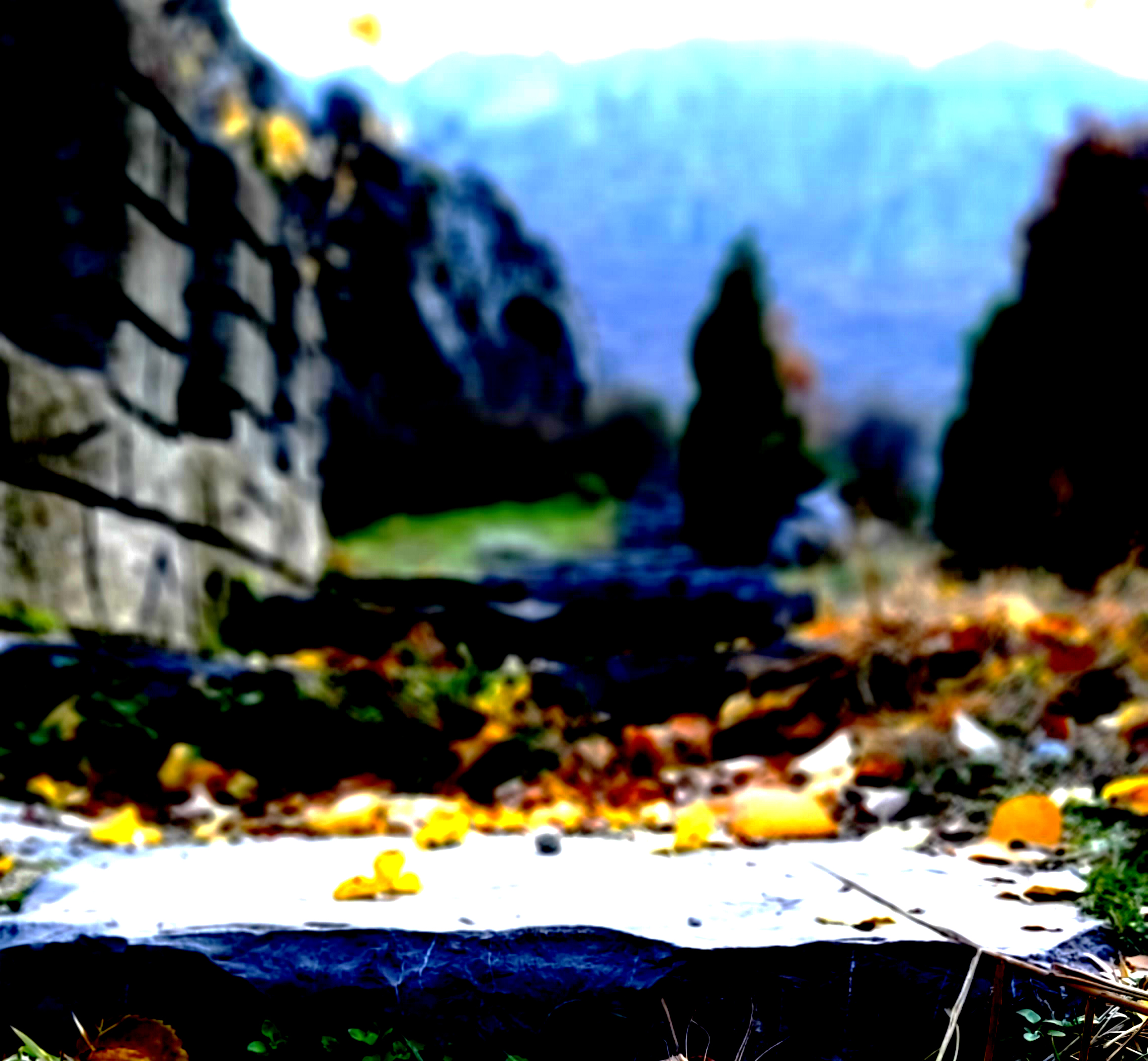 Konya-Kuğulu Park’ta eşsiz sonbahar güzelliği 16