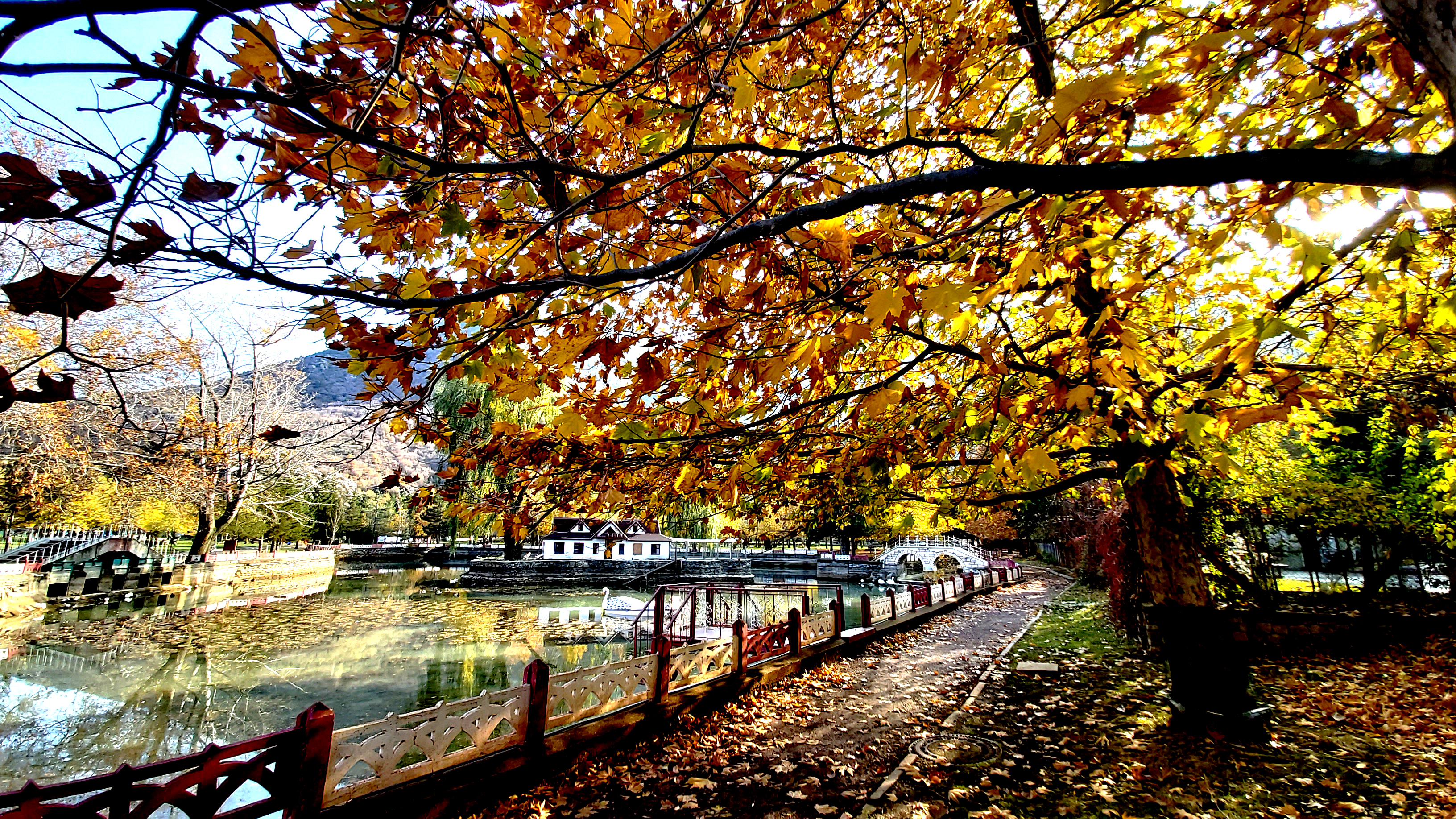Konya-Kuğulu Park’ta eşsiz sonbahar güzelliği 2