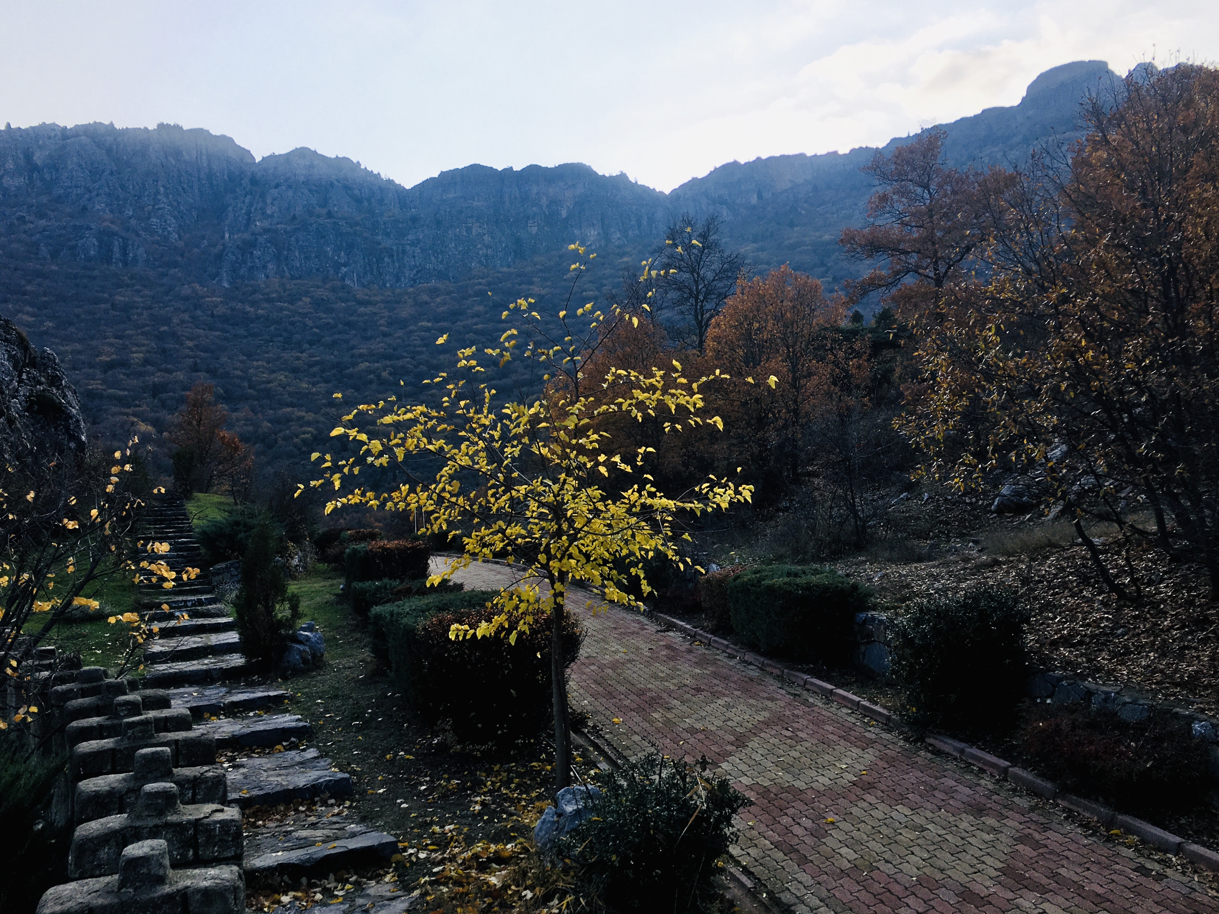 Konya-Kuğulu Park’ta eşsiz sonbahar güzelliği 22
