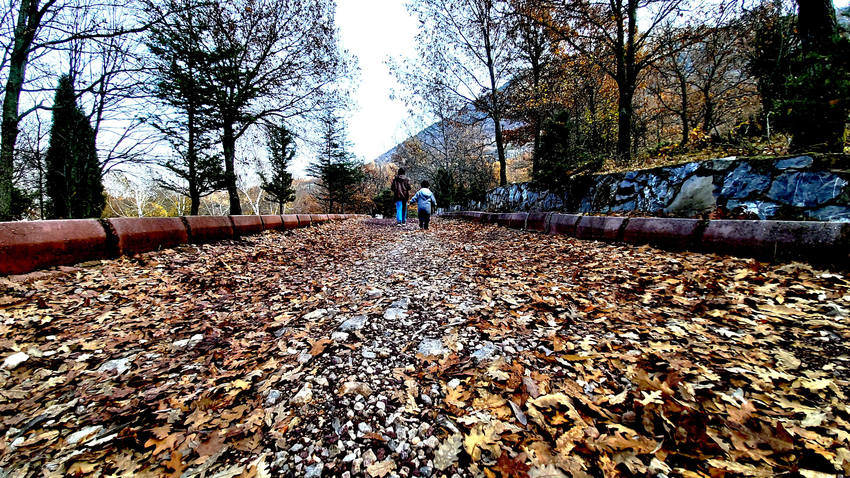 Konya-Kuğulu Park’ta eşsiz sonbahar güzelliği 27
