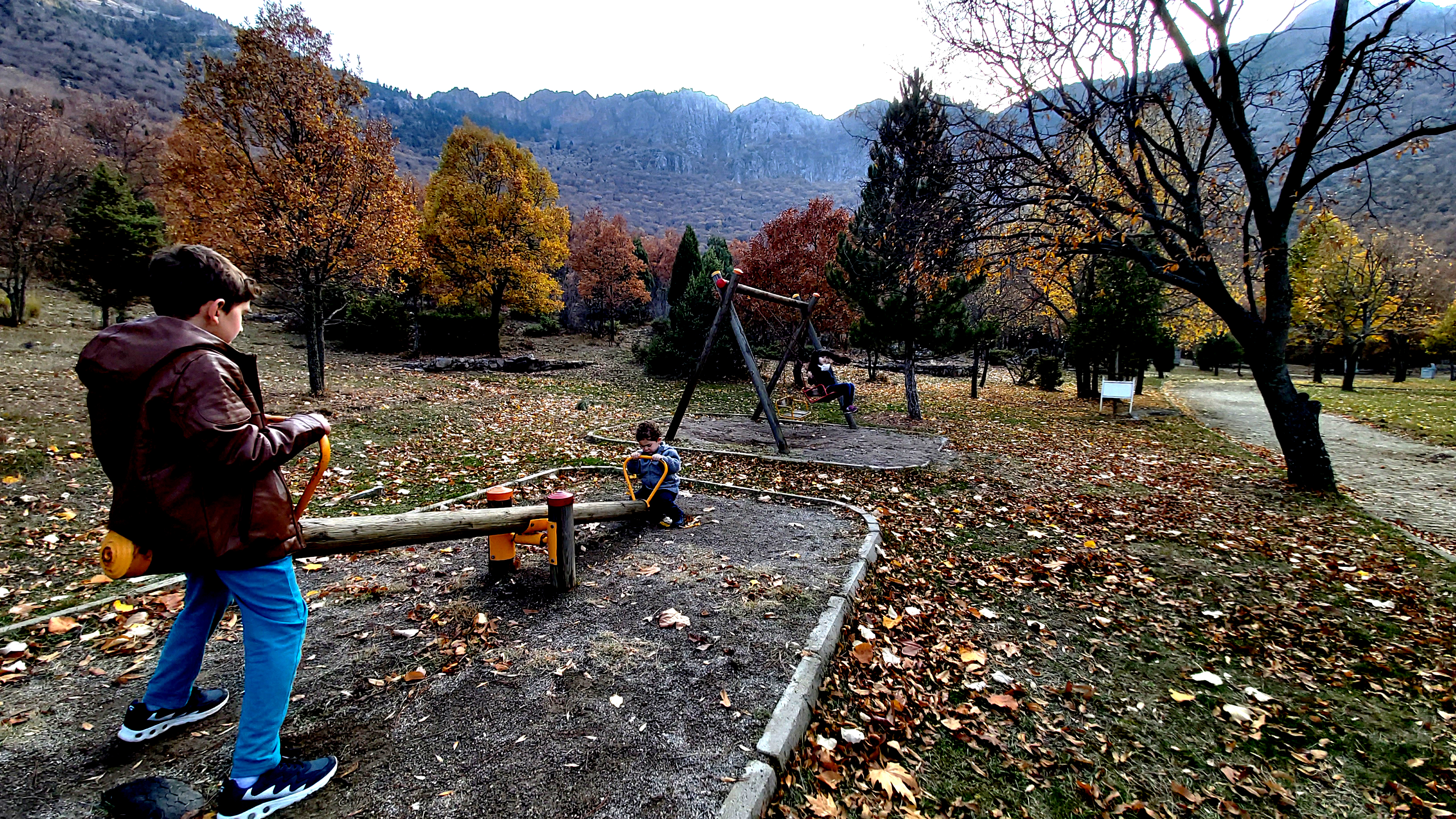 Konya-Kuğulu Park’ta eşsiz sonbahar güzelliği 31