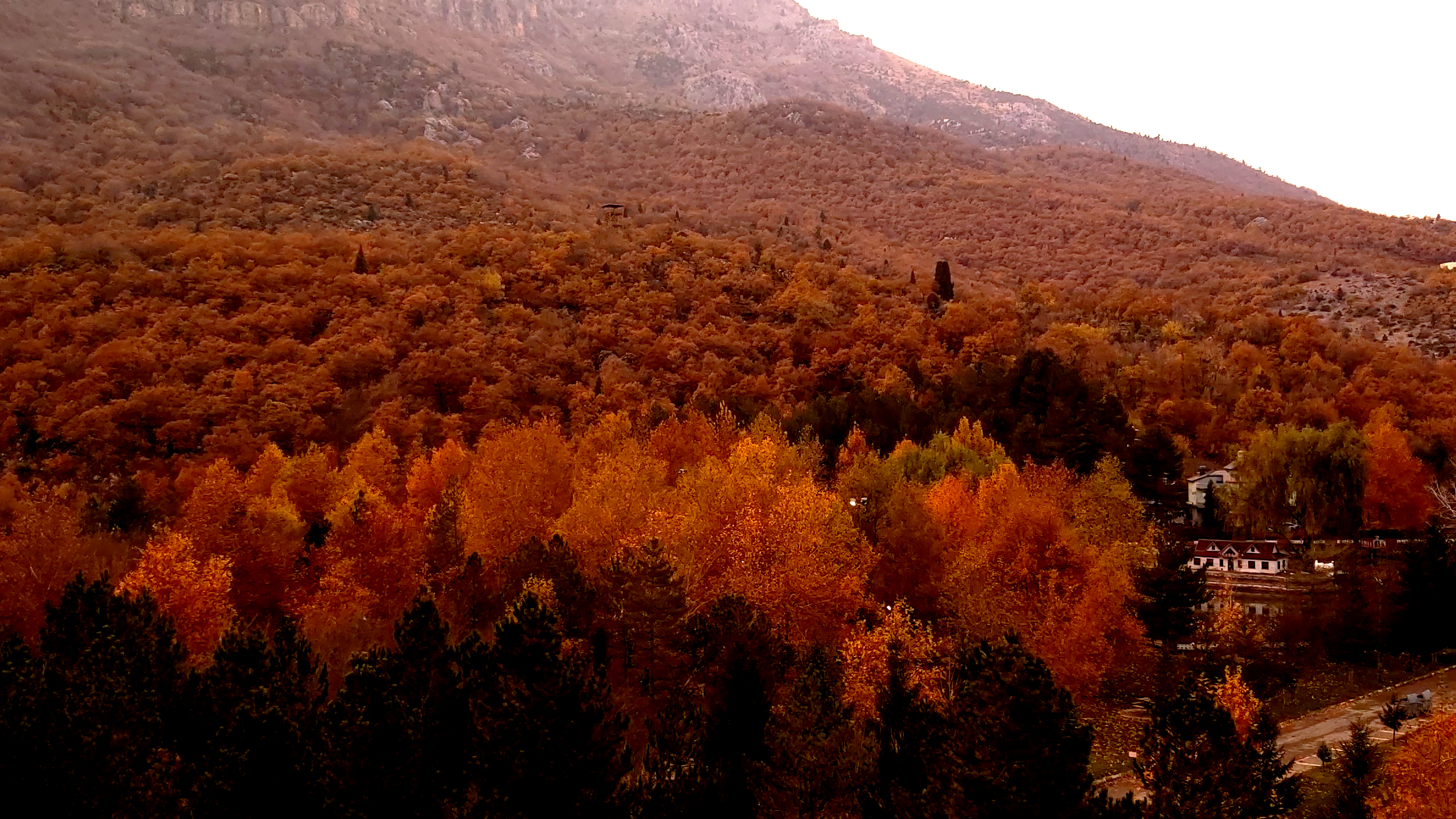 Konya-Kuğulu Park’ta eşsiz sonbahar güzelliği 39