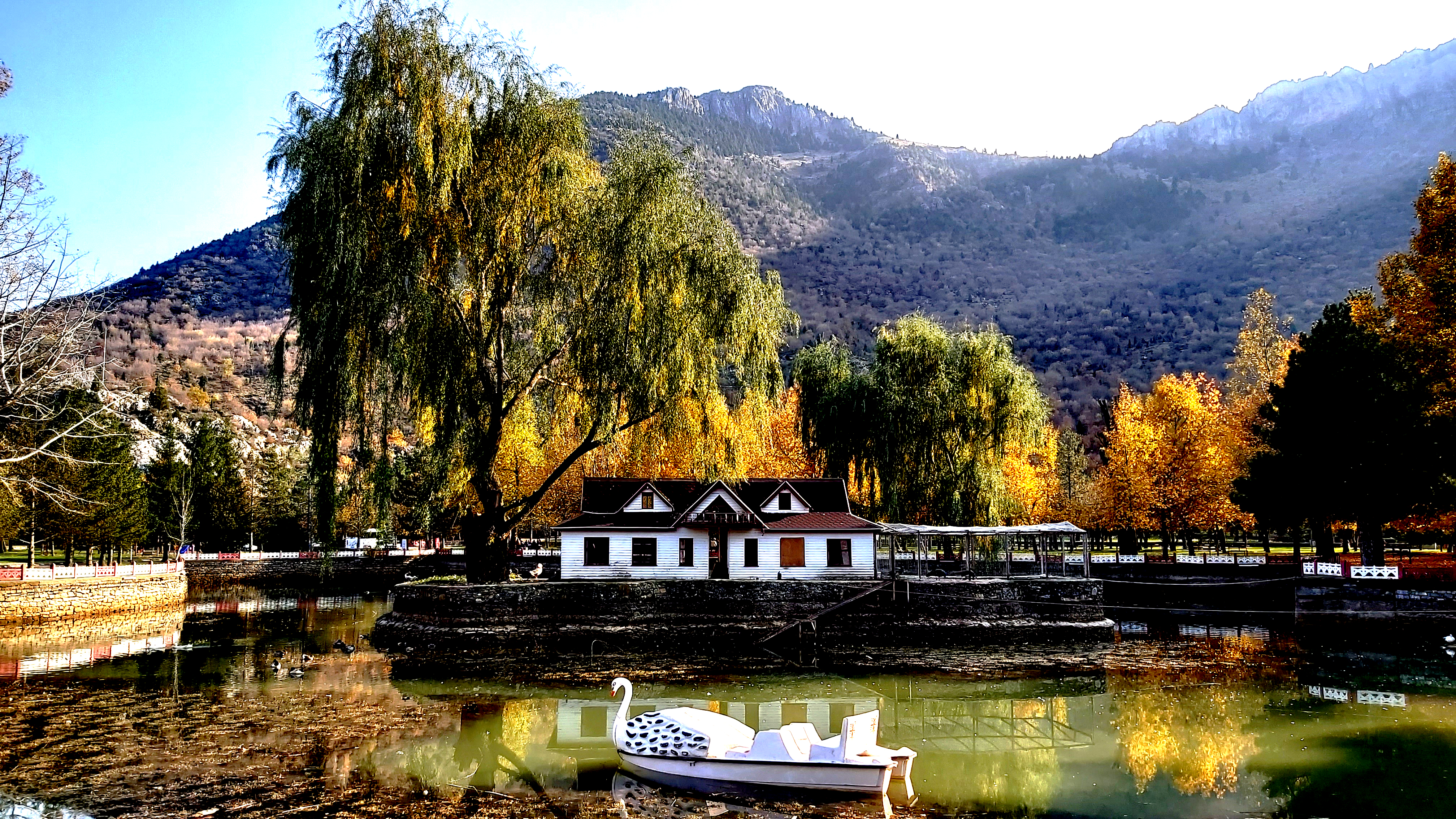 Konya-Kuğulu Park’ta eşsiz sonbahar güzelliği 4