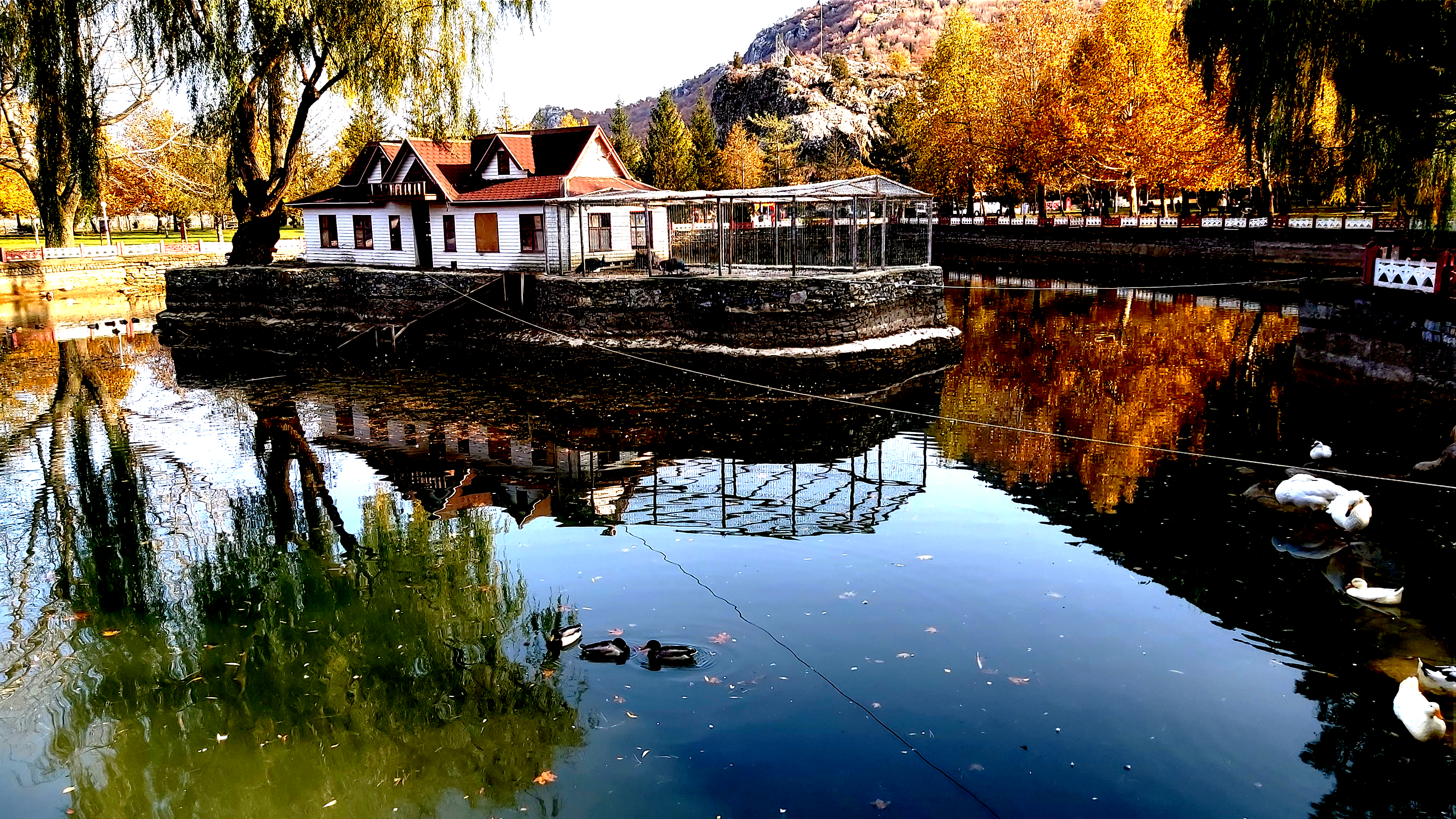 Konya-Kuğulu Park’ta eşsiz sonbahar güzelliği 6