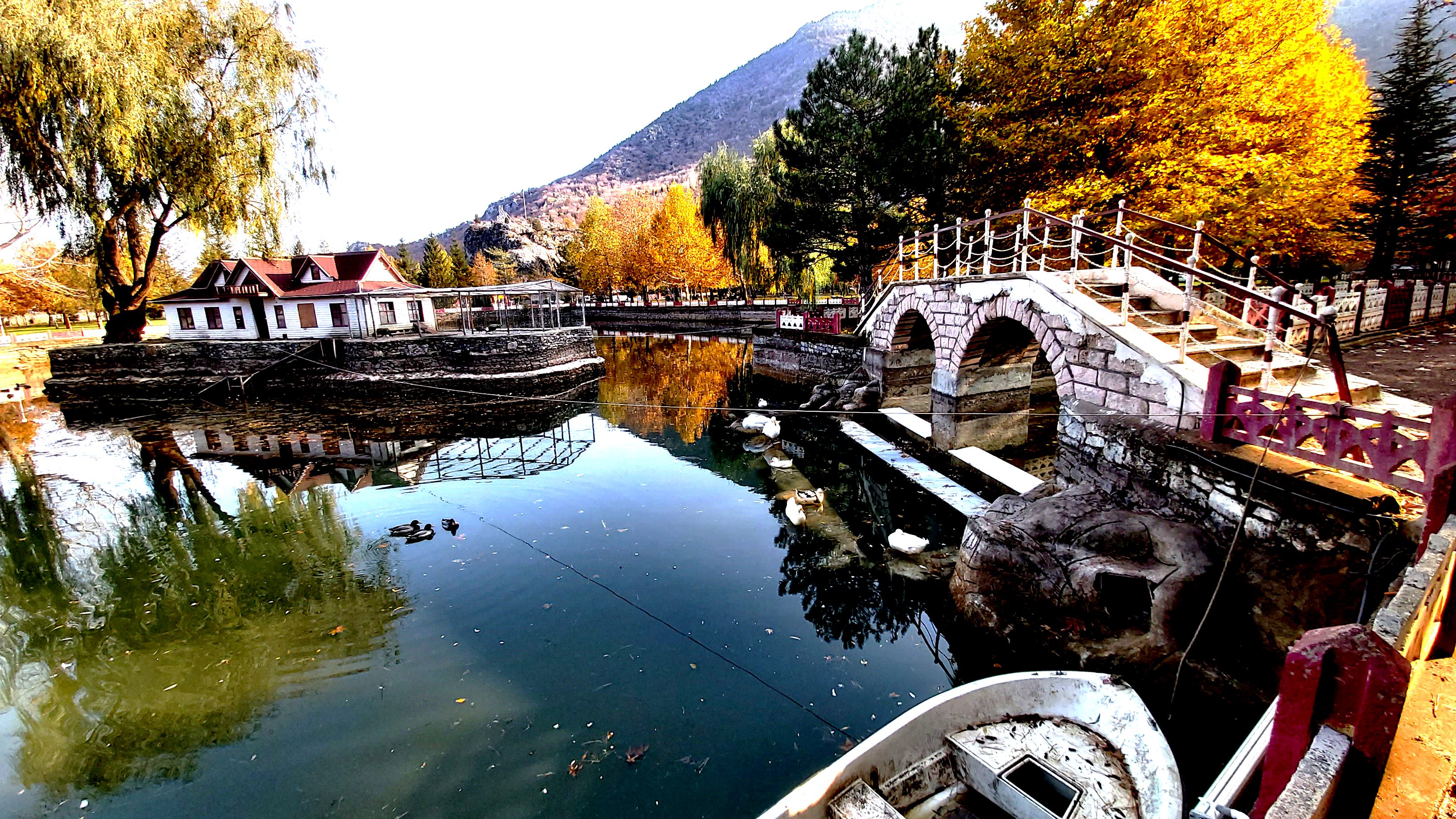 Konya-Kuğulu Park’ta eşsiz sonbahar güzelliği 7
