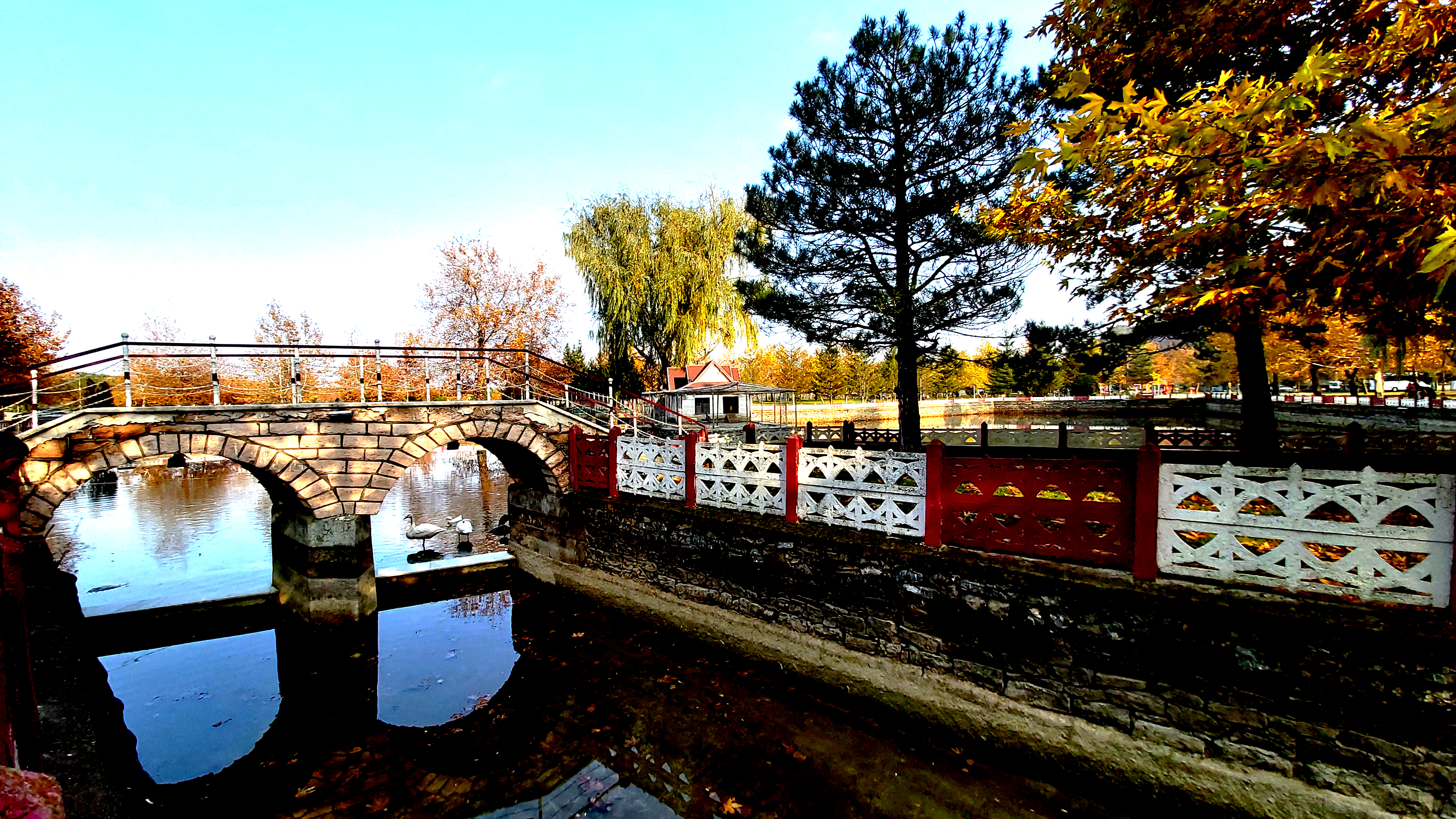 Konya-Kuğulu Park’ta eşsiz sonbahar güzelliği 9