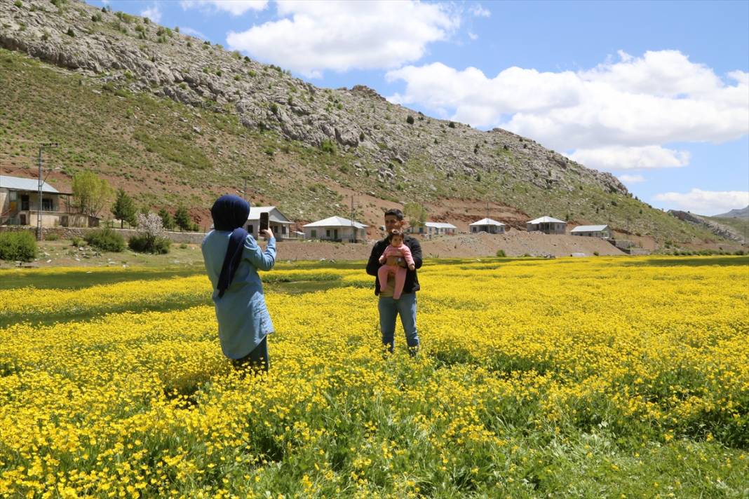 Konya’da 1850 rakımlı yayla adeta sarıya boyandı 3