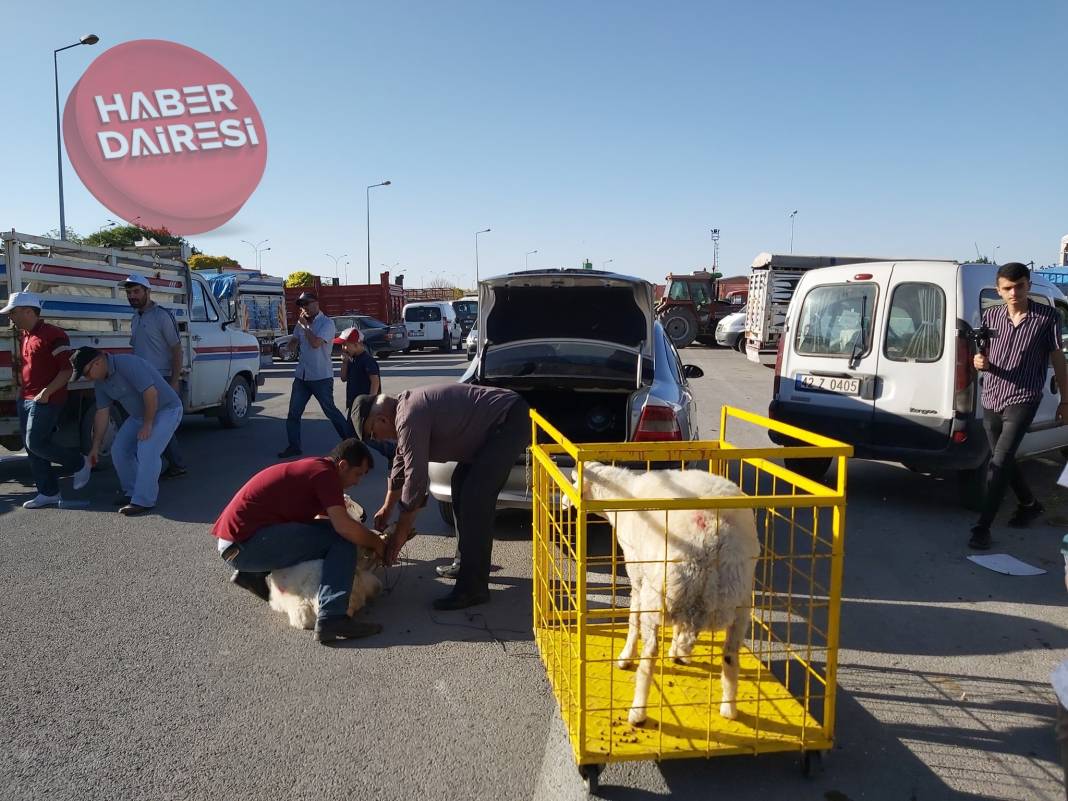 Kurban kesecekler dikkat! Cezalar belli oldu 10