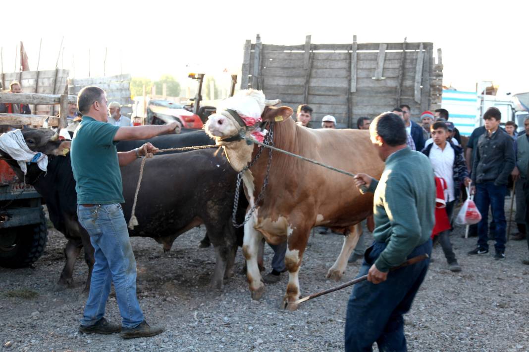 Kurban kesecekler dikkat! Cezalar belli oldu 2