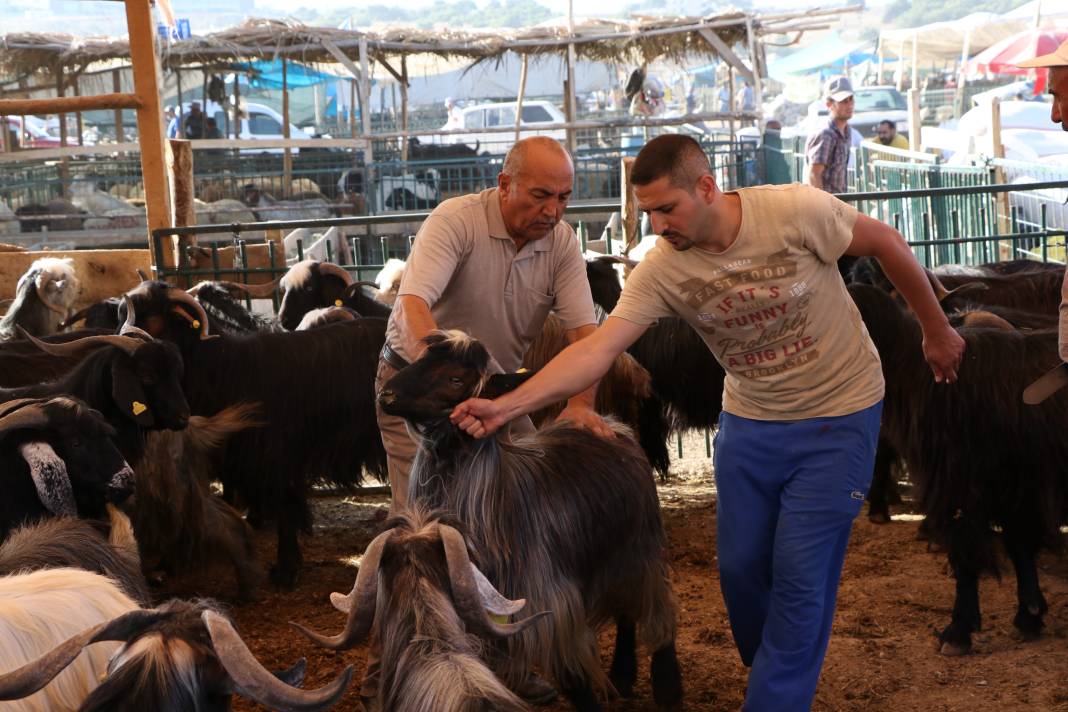 Kurban kesecekler dikkat! Cezalar belli oldu 5