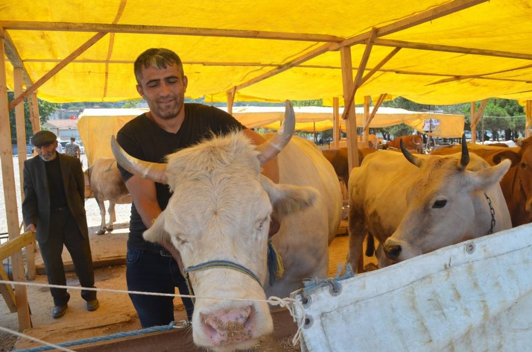 Kurban kesecekler dikkat! Cezalar belli oldu 9