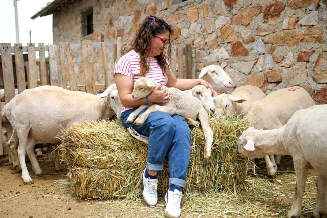 Konya’da gıda teknikeri kadın devlet desteğiyle çiftlik sahibi oldu 1