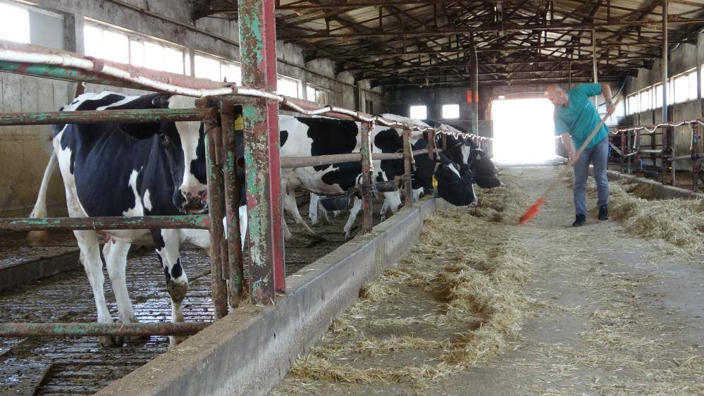 Türkiye’nin veterinerleri Konya’daki bu alanda yetişiyor 10