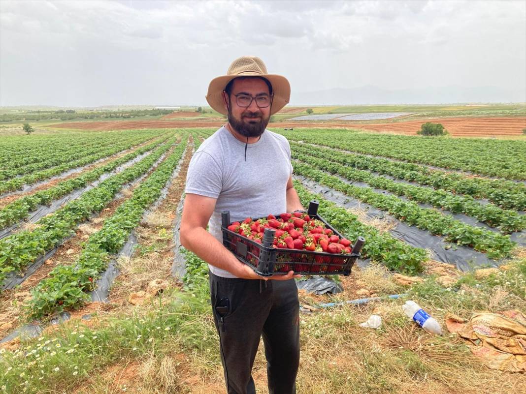 17 ülkeye ihraç ediliyor! Konya’nın tescilli ürünü bölgenin geçim kaynağı oldu 8