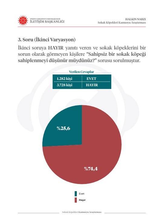 İletişim Başkanlığı vatandaşa sordu: Sokak köpekleri ülke için sorun mu? 17