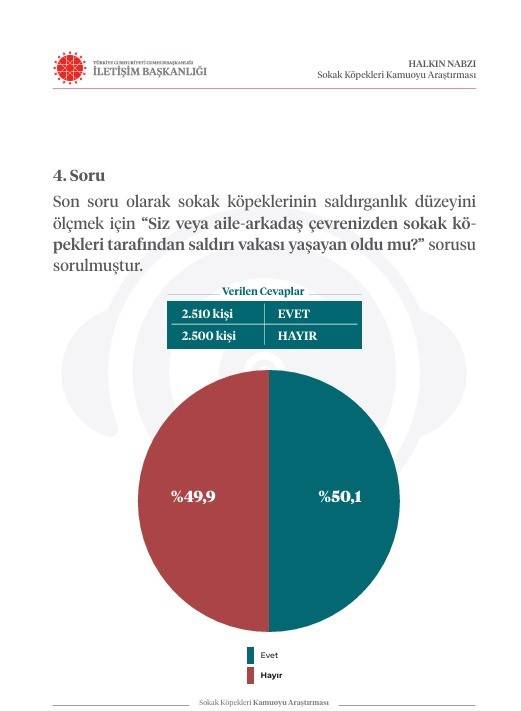 İletişim Başkanlığı vatandaşa sordu: Sokak köpekleri ülke için sorun mu? 20