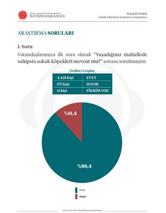 İletişim Başkanlığı vatandaşa sordu: Sokak köpekleri ülke için sorun mu? 21