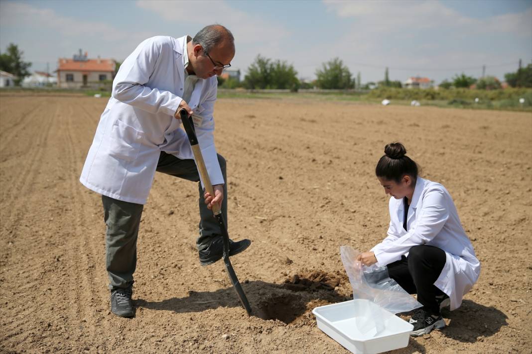 Konya’da toprak analizi yapıldı, çiftçileri zenginleştirecek öneri sunuldu 9